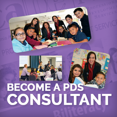 PDS Page_Consultant_ads_400px